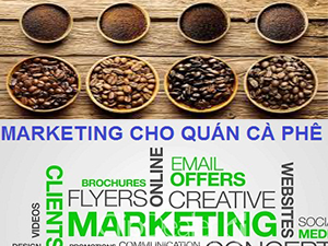 CAFE MOKA, CULI, CHERRY, ROBUSTA, ARABICA LÀ GÌ?
