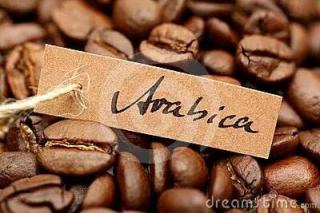 Arabica