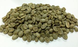 Arabica