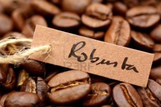 Robusta